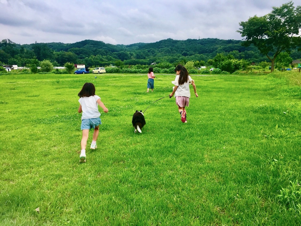 子供も大人も自然のそばでゆっくりのびのび出来る自宅開放型コミュニティ 埼玉県日高市にある ぷーちゃんち ってどんなところ 生の画家生活